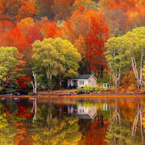 photo of a fall foliage in nova scotia