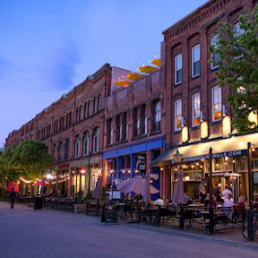 photo of a fall foliage in nova scotia