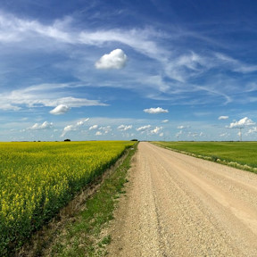 photo of a field with a dirt road in saskatchewan